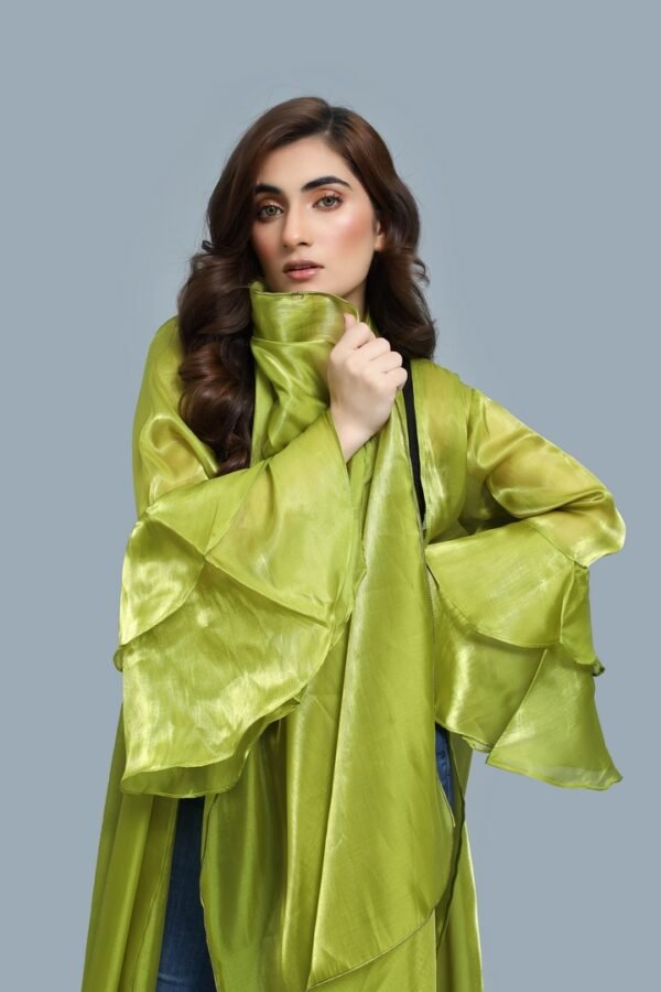 Green Long Organza Cape - Image 3